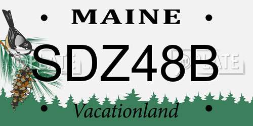 SDZ48B Maine License Plate