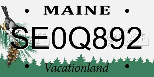 SE0Q892 Maine License Plate