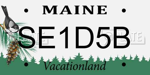 SE1D5B Maine License Plate