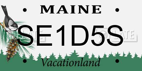 SE1D5S Maine License Plate