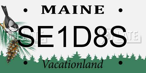 SE1D8S Maine License Plate