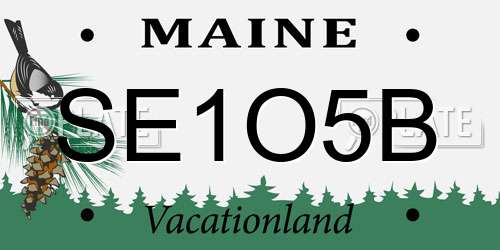 SE1O5B Maine License Plate