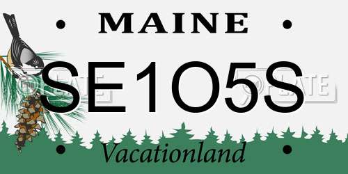 SE1O5S Maine License Plate