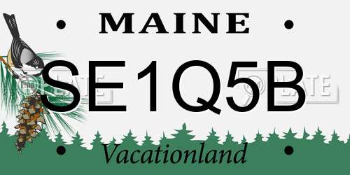 SE1Q5B Maine License Plate