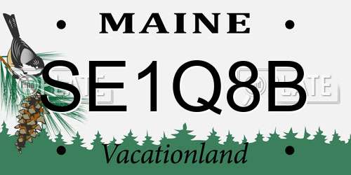 SE1Q8B Maine License Plate