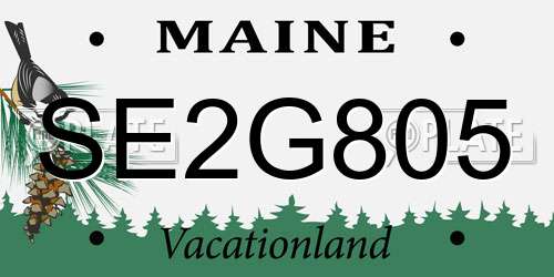 SE2G805 Maine License Plate