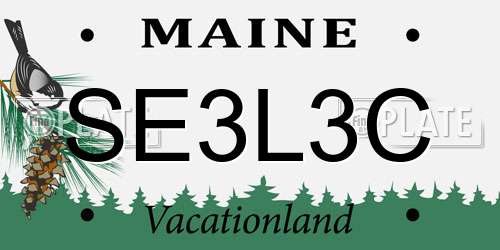 SE3L3C Maine License Plate