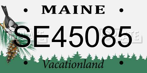 SE45085 Maine License Plate