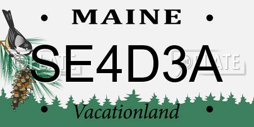 SE4D3A Maine License Plate
