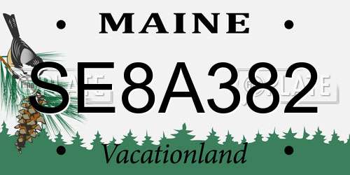 SE8A382 Maine License Plate