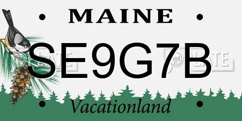 SE9G7B Maine License Plate