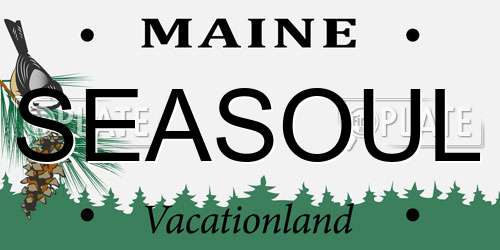 SEASOUL Maine License Plate