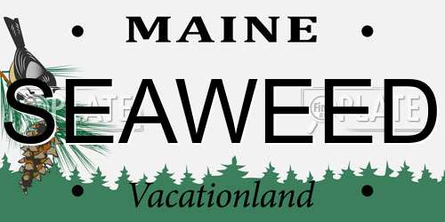 SEAWEED Maine License Plate