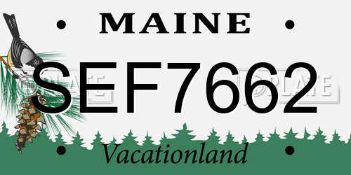 SEF7662 Maine License Plate