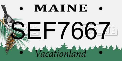 SEF7667 Maine License Plate