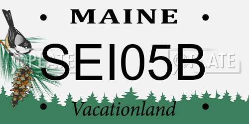 SEI05B Maine License Plate