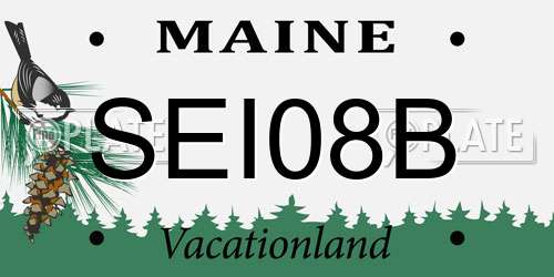 SEI08B Maine License Plate