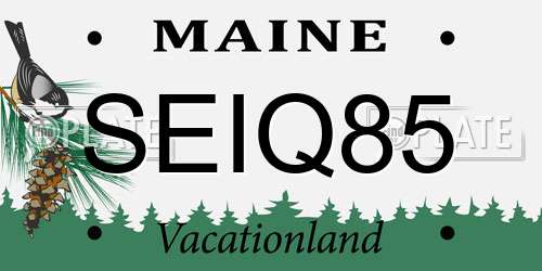 SEIQ85 Maine License Plate