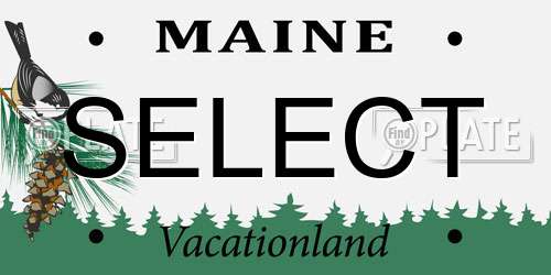 SELECT Maine License Plate
