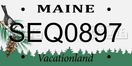 SEQ0897 Maine License Plate