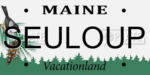 SEULOUP Maine License Plate