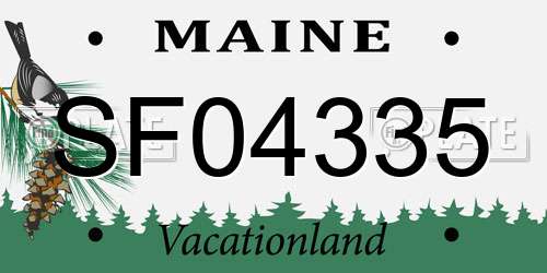 SF04335 Maine License Plate
