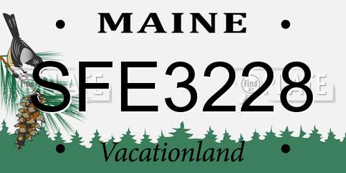 SFE3228 Maine License Plate