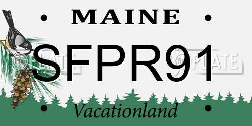 SFPR91 Maine License Plate