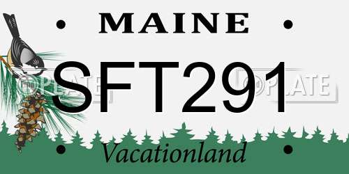 SFT291 Maine License Plate