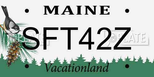 SFT42Z Maine License Plate