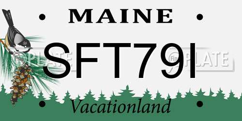 SFT79I Maine License Plate
