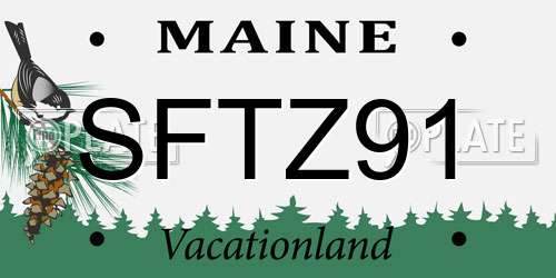 SFTZ91 Maine License Plate