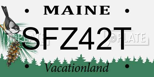 SFZ42T Maine License Plate
