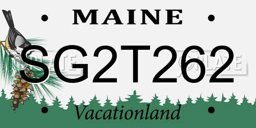 SG2T262 Maine License Plate