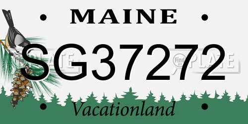 SG37272 Maine License Plate