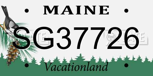 SG37726 Maine License Plate