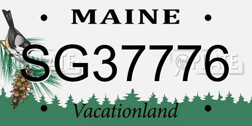 SG37776 Maine License Plate