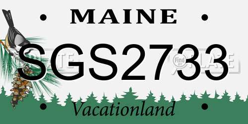 SGS2733 Maine License Plate