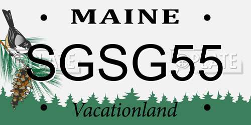 SGSG55 Maine License Plate