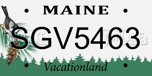 SGV5463 Maine License Plate