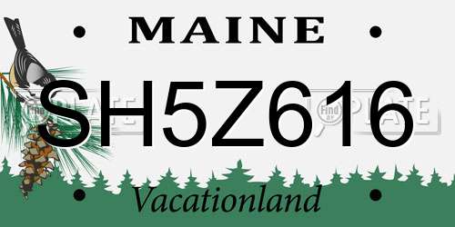 SH5Z616 Maine License Plate