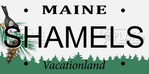 SHAMELS Maine License Plate