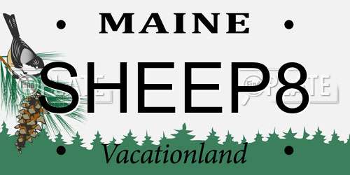 SHEEP8 Maine License Plate
