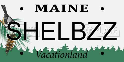 SHELBZZ Maine License Plate