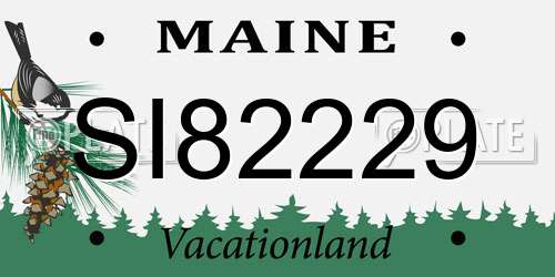 SI82229 Maine License Plate