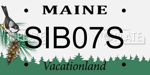 SIB07S Maine License Plate