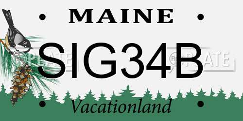 SIG34B Maine License Plate