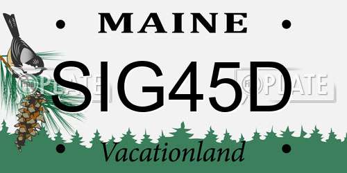 SIG45D Maine License Plate