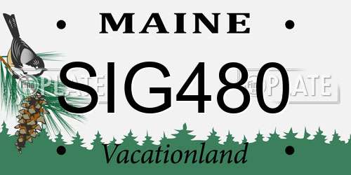 SIG480 Maine License Plate