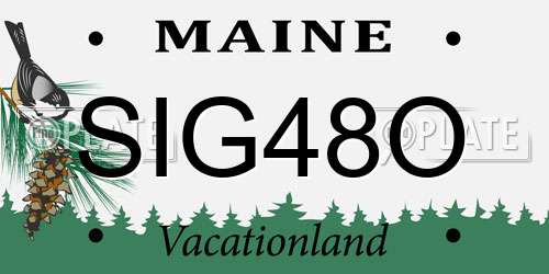 SIG48O Maine License Plate